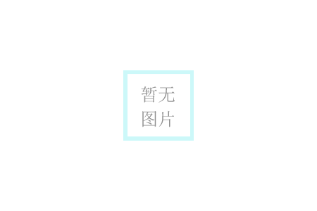 公司簡介
